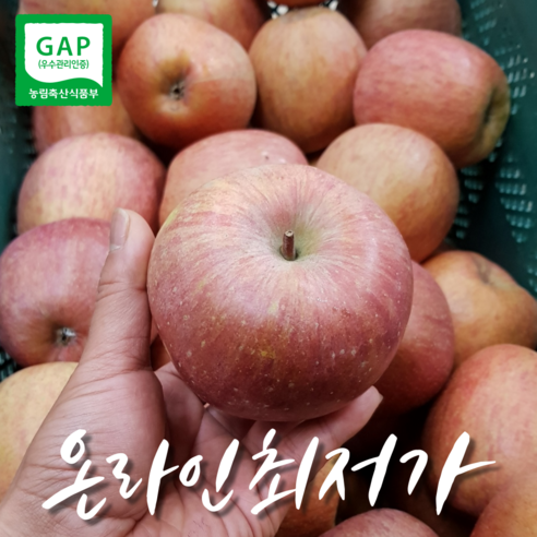 [당일배송] 가정용 못난이 부사사과 선물용 부사사과 2kg 3kg 5kg, 부사사과 가정용 3kg 중과(10-14과)