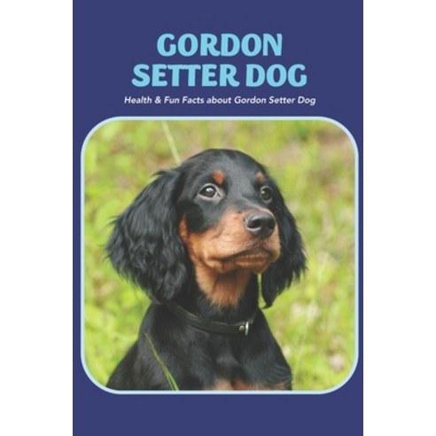 (영문도서) Gordon Setter Dog: Health & Fun Facts about Gordon Setter Dog Paperback, Independently Published, English, 9798423260453