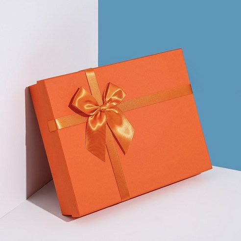 KORELAN 선물 박스 빈 박스 직사각형 선물 박스 주황색 포장 박스 심플한 창의력 큰 생일 선물 박스, 스몰 사이즈 23*15*4, 등딱지