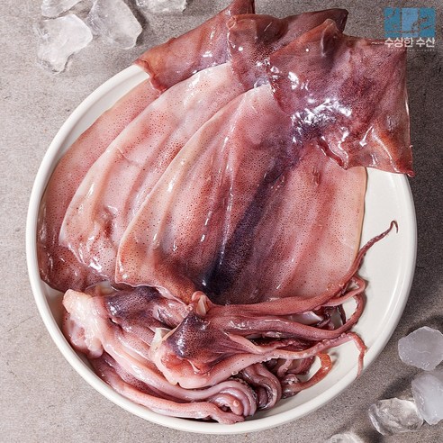 수상한 구룡포 반건조오징어 특대1.3kg 10미, 1개