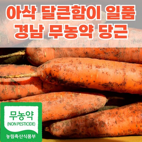 제주의 햇살을 머금은 유기농 당근 이야기 유기농당근