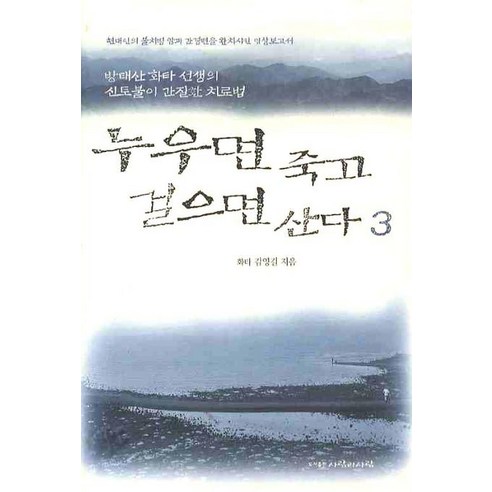 누우면 죽고 걸으면 산다 3:방태산 화타 선생의 신토불이 간질환 치료법, 사람과사람, 김영길 저