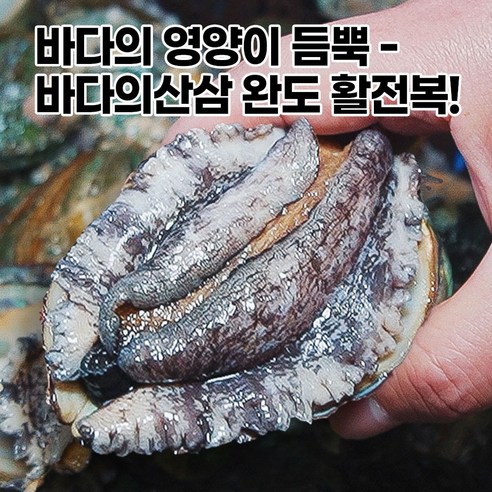 소중한 사람들에게 풍요와 기쁨을 선사하는 전복 랍스터 선물세트