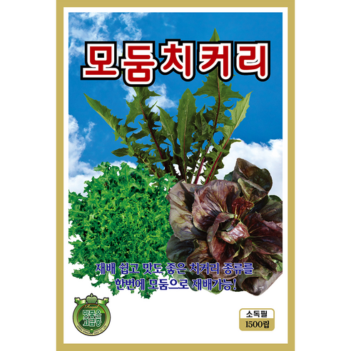 쌈채소 씨앗 모음 종자 상추 치커리 로메인 깻잎 쌈채, 2개
