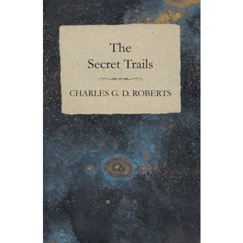 (영문도서) The Secret Trails Paperback, Moran Press, English, 9781473304604