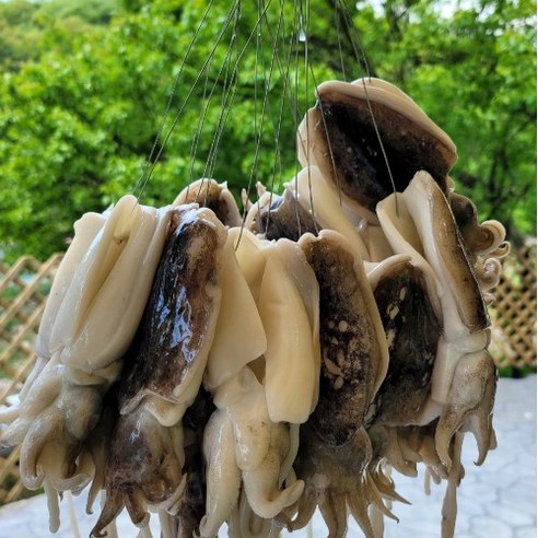 맛있는 해산물 요리에 신선하고 편리한 손질된 갑오징어