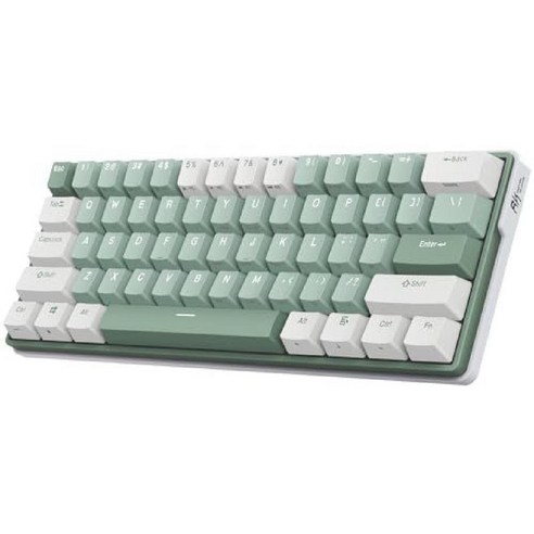 RK 로얄 클루지 RK61 플러스 유/무선 텐키리스 핫스왑 기계식 키보드, Tactile Pale Green Switch, Green