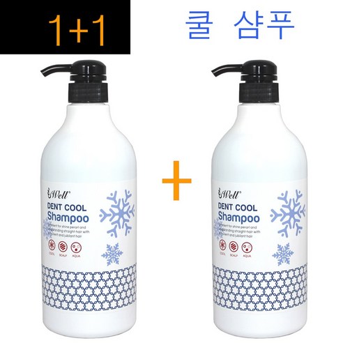 1+1구성~ 모웰 댄트 쿨 약산성 샴푸 1000ml / ph5.0 덴트 쿨샴푸 정품, 1개, 1L