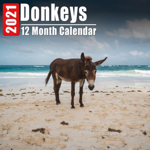 Calendar 2021 Donkeys: Cute Donkey Photos Monthly Mini Calendar With ...
