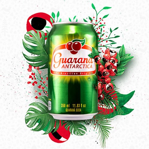 [오리지널 브라질산] 과라나 안타르치카 guarana 당일발송 과라나음료 탄산 스포츠, 12개, 350ml