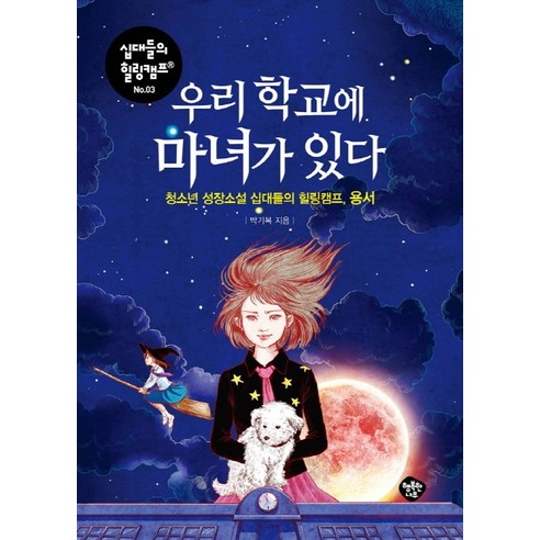 우리 학교에 마녀가 있다:청소년 성장소설 십대들의 힐링캠프 용서, 행복한나무, 박기복 저 학교넘어도망친