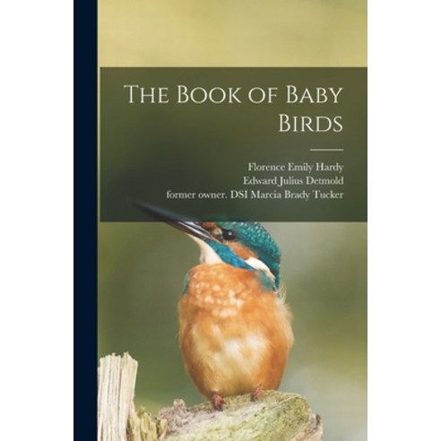 (영문도서) The Book of Baby Birds Paperback, Legare Street Press, English, 9781014186669