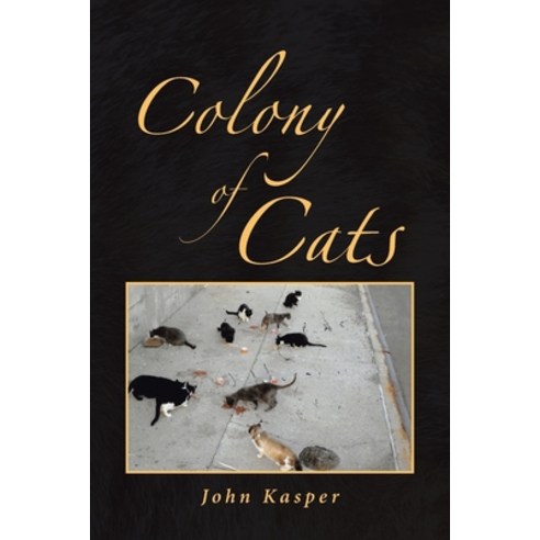 (영문도서) Colony of Cats Paperback, Page Publishing, Inc., English, 9781647015312