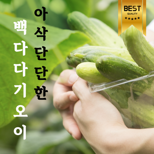 아삭한 백다다기오이 백오이, 1개, 4kg(상품20개)