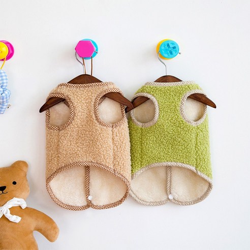 사랑스러운 반려견과 함께하는 따뜻한 겨울