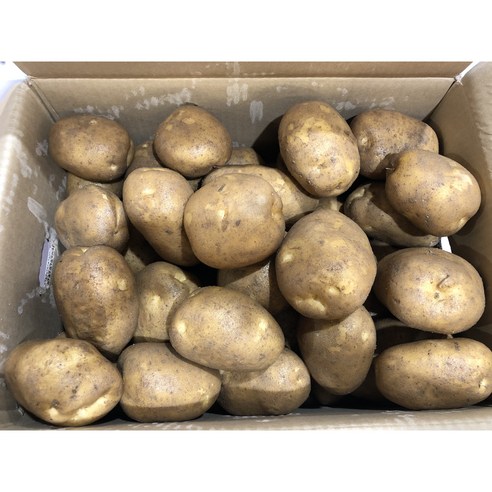 [정품 정량 이상] 국내산 두백 감자 강원도 햇감자 수미 설봉 3kg 5kg, 1박스, 특(110-160g 삶기 좋은 사이즈) 5kg