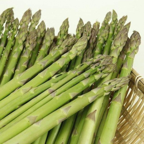 신선함과 영양을 동시에!