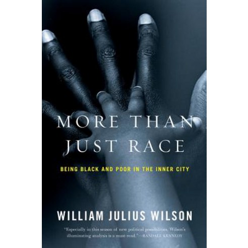 More Than Just Race: Being Black and Poor in the Inner City Paperback, W. W. Norton & Company, English, 9780393337631