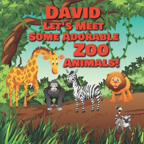 David Let''s Meet Some Adorable Zoo Animals!: Personalized Baby Books with Your Child''s Name in the S... Paperback, Independently Published
