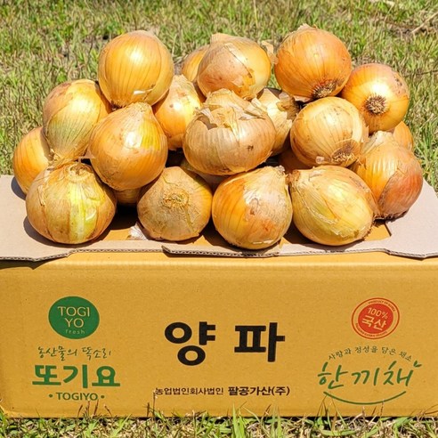 양파 10kg 국산양파(대) 산지직송 실속형 대용량 식당 업소용 양파, 1개