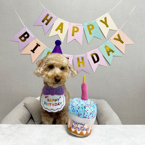 설드독 강아지 고양이 생일 축하파티 세트 스카프 + 모자 + 케이크장난감 + 가랜드 (퍼플)