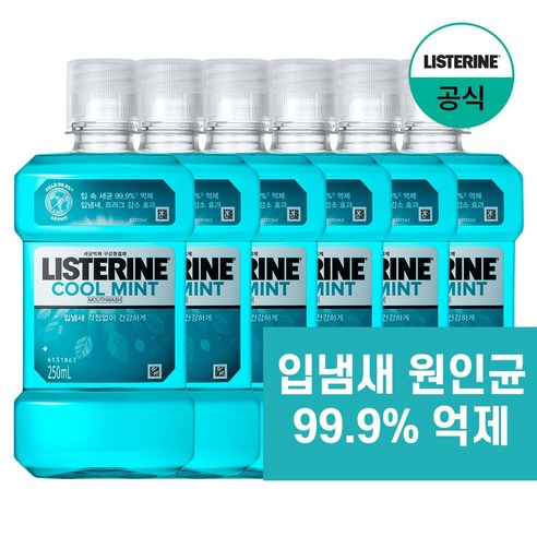 리스테린 쿨민트 구강청결제, 250ml, 6개