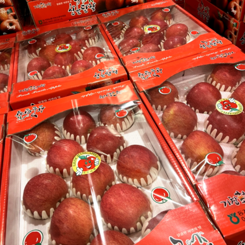 풍요로운 결실의 맛, 고당도 프리미엄 꿀사과 선물세트