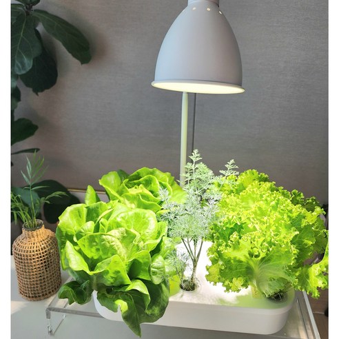 수경재배의 새로운 시작, 수경테리어 화분 세트 수경재배키트