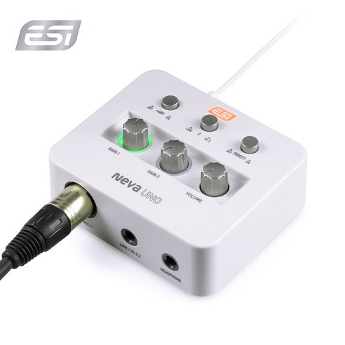 ESI Neva UNO 포터블 USB 오디오 인터페이스 2IN 2OUT
