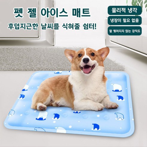 강아지 쿨매트 고양이 여름방석 쿨방석 냉감패드 쿨젤매트 안찢어지는 L 사이즈, 스카이 얼음곰, 1개