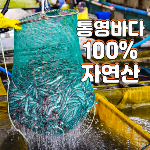 산지직송 통영장어 자연산 바다장어특대 최상품 손질 장어 활력 바다장어 비법소스포함, 2kg(특대 2-6..., 1개 - 장어 | 쿠팡