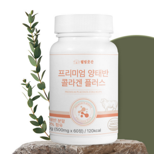 웰빙곳간 프리미엄 양태반 콜라겐 플러스 500mg 60정 2개월분, 1개