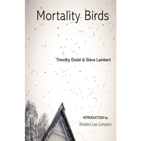 (영문도서) Mortality Birds Paperback, Southernmost Books, English, 9780578289892