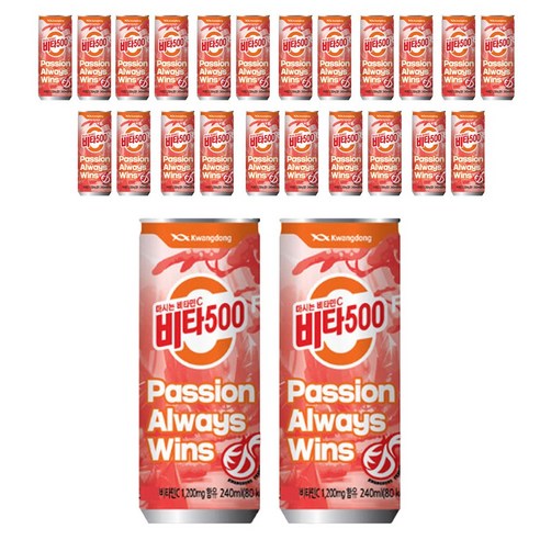 제트스카이 광동제약 비타500, 240ml, 24개