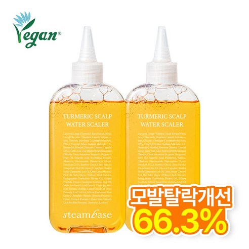 [공식] 스팀베이스 강황 쿨링 두피 워터 스케일러 모발 탈락 개선, 2개, 250ml