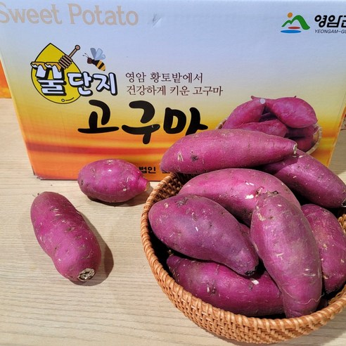 영암명품 소담농원 꿀단지 황금꿀고구마 3 5 10kg 베니하루까