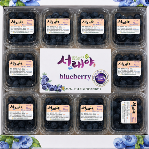 [단독특가] 고당도선별 국내산 생 블루베리, 1박스, 1kg