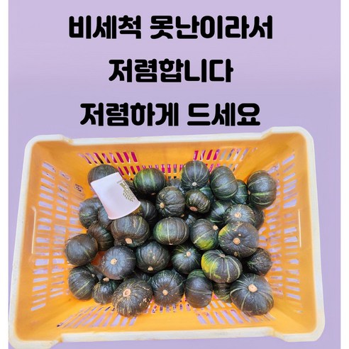 비세척 못난이 가성비 밤호박 보우짱, 1개, 1.8kg 단호박