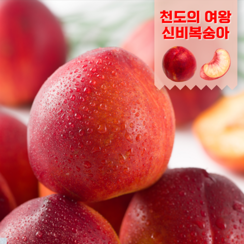 백화점 납품농장 복숭아, 1박스, 4kg (딱딱이복숭아 15-18과 특품) 15 쫀득1등 신비복숭아 꿀과즙팡팡 복숭아, 1kg, 1개
