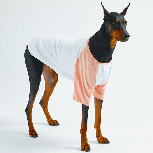 럭키페터 나그랑 대형견 옷 강아지 티셔츠 실내복 강아지 여름옷 화이트 시리즈, 화이트/피치, 1개