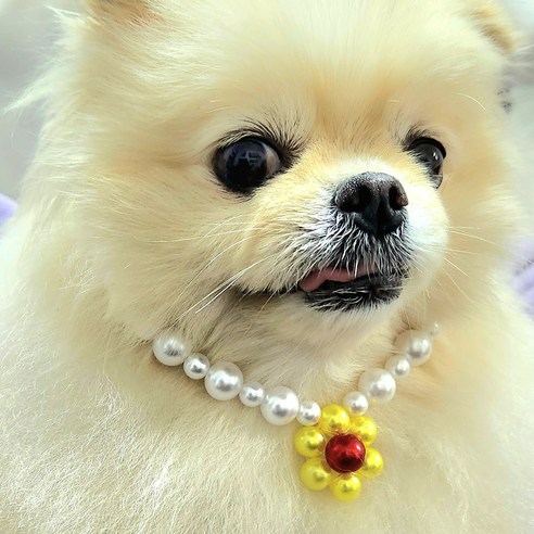 강아지 고양이 진주 꽃 목걸이, 1개, 옐로