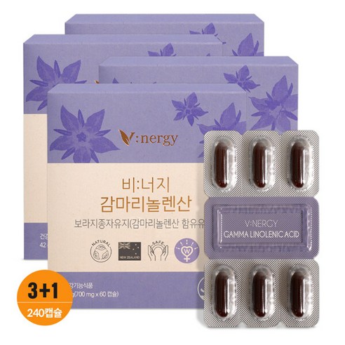 [휴럼]비너지 감마리놀렌산 보라지 꽃 종자 유 1박스, 60정, 1개