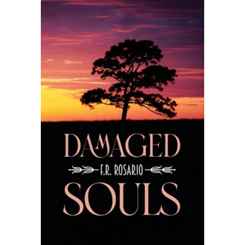 (영문도서) Damaged Souls Paperback, Dorrance Publishing Co., English, 9798885270762