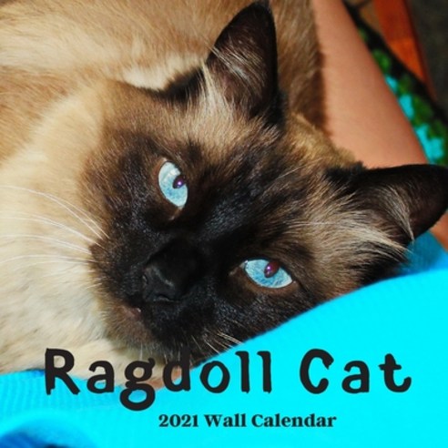 Ragdoll Cat Wall Calendar 2021: Ragdoll Cat Calendar 2021 18 Months Paperback, Independently Published, English, 9798564998161