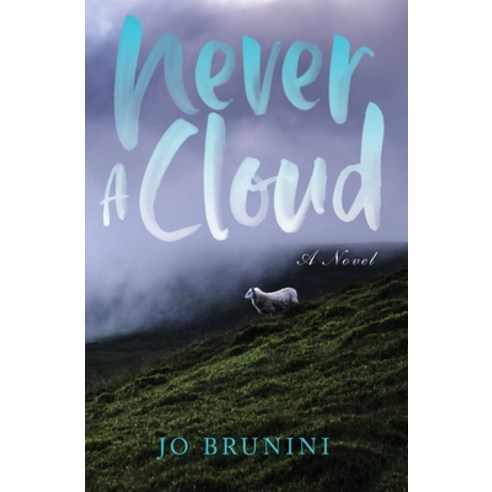 (영문도서) Never a Cloud Paperback, Idle Ridge Press, English, 9798986120508