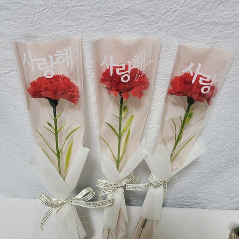 레드카네이션 한송이꽃다발: 진심을 담은 특별한 선물
