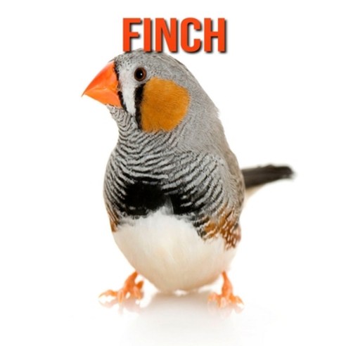 Finch: Amazing Facts about Finch Paperback, Independently Published, English, 9798550530078