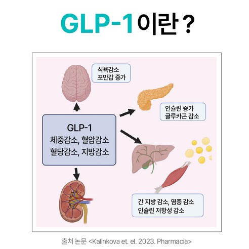 건강한 체중 관리를 위한 신뢰할 수 있는 선택