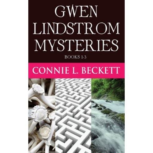 (영문도서) Gwen Lindstrom Mysteries - Books 1-3 Hardcover, Next Chapter, English, 9784824186904
