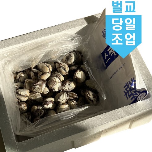 신선한 바다의 맛을 집에서 직접 즐기는 벌교 새꼬막